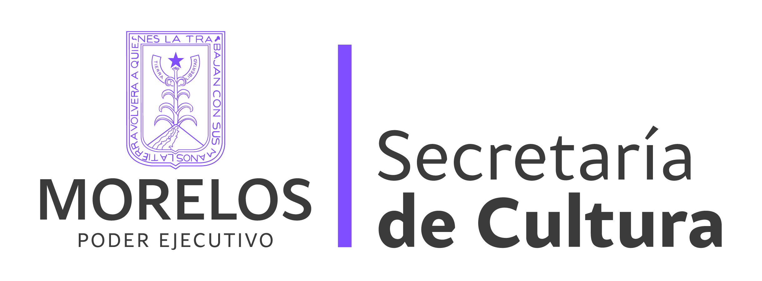 logo secretaria cultura